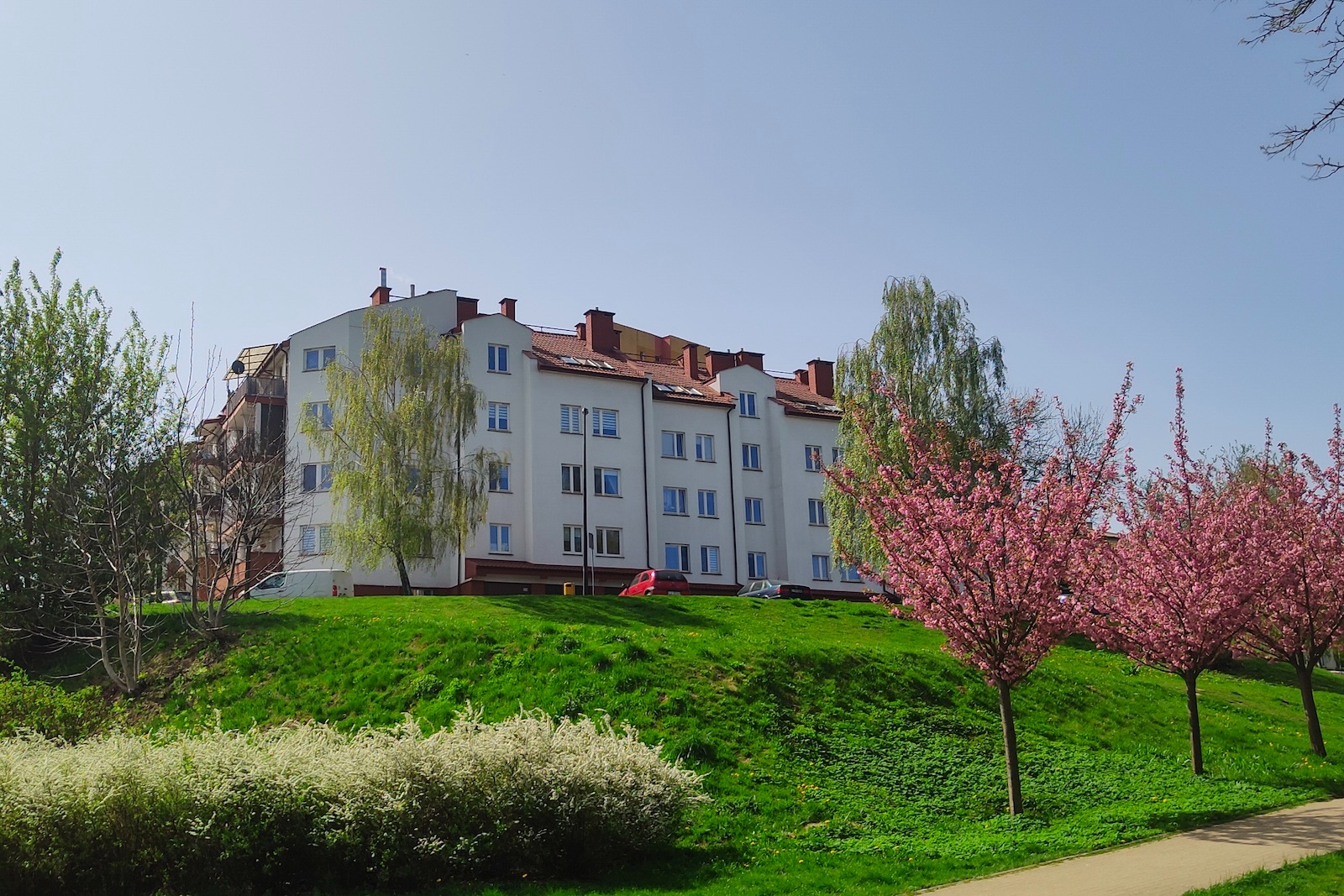 Zieleń wokół osiedla