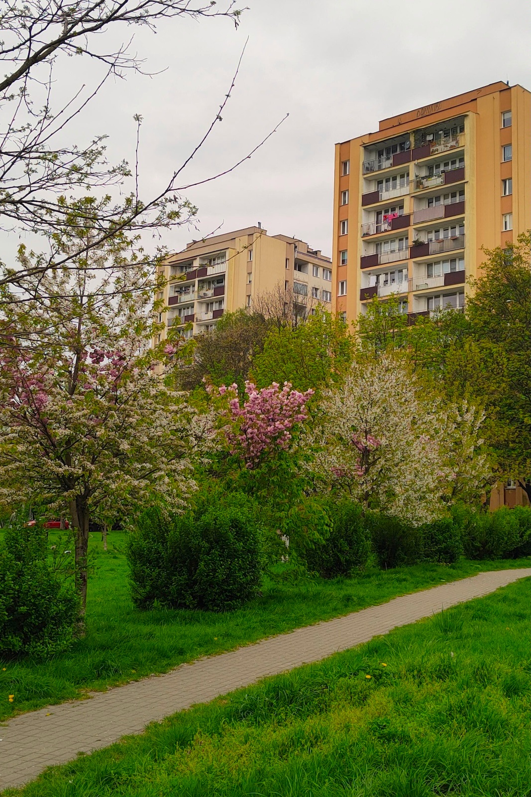 Widok osiedla
