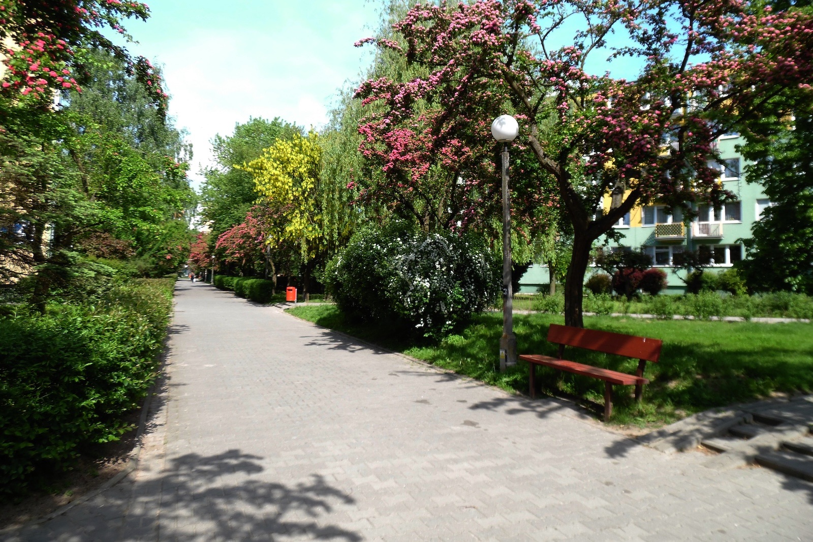 Zieleń wokół osiedla